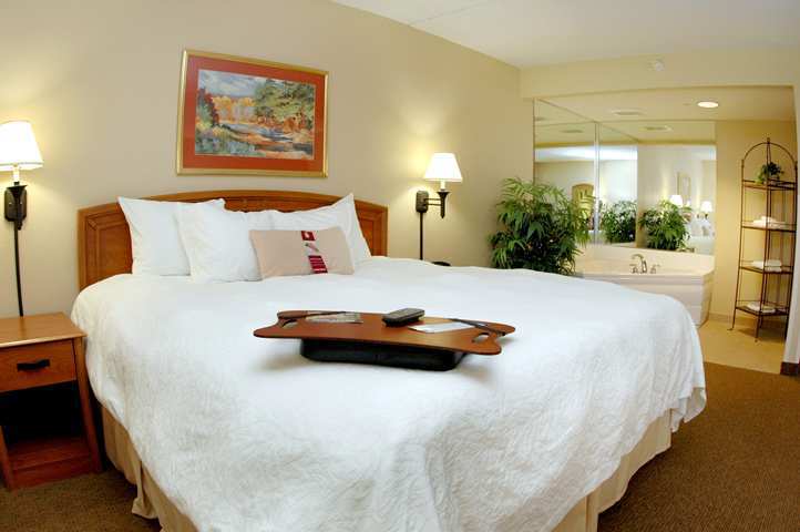 Hampton Inn Muskegon Muskegon Heights Pokój zdjęcie